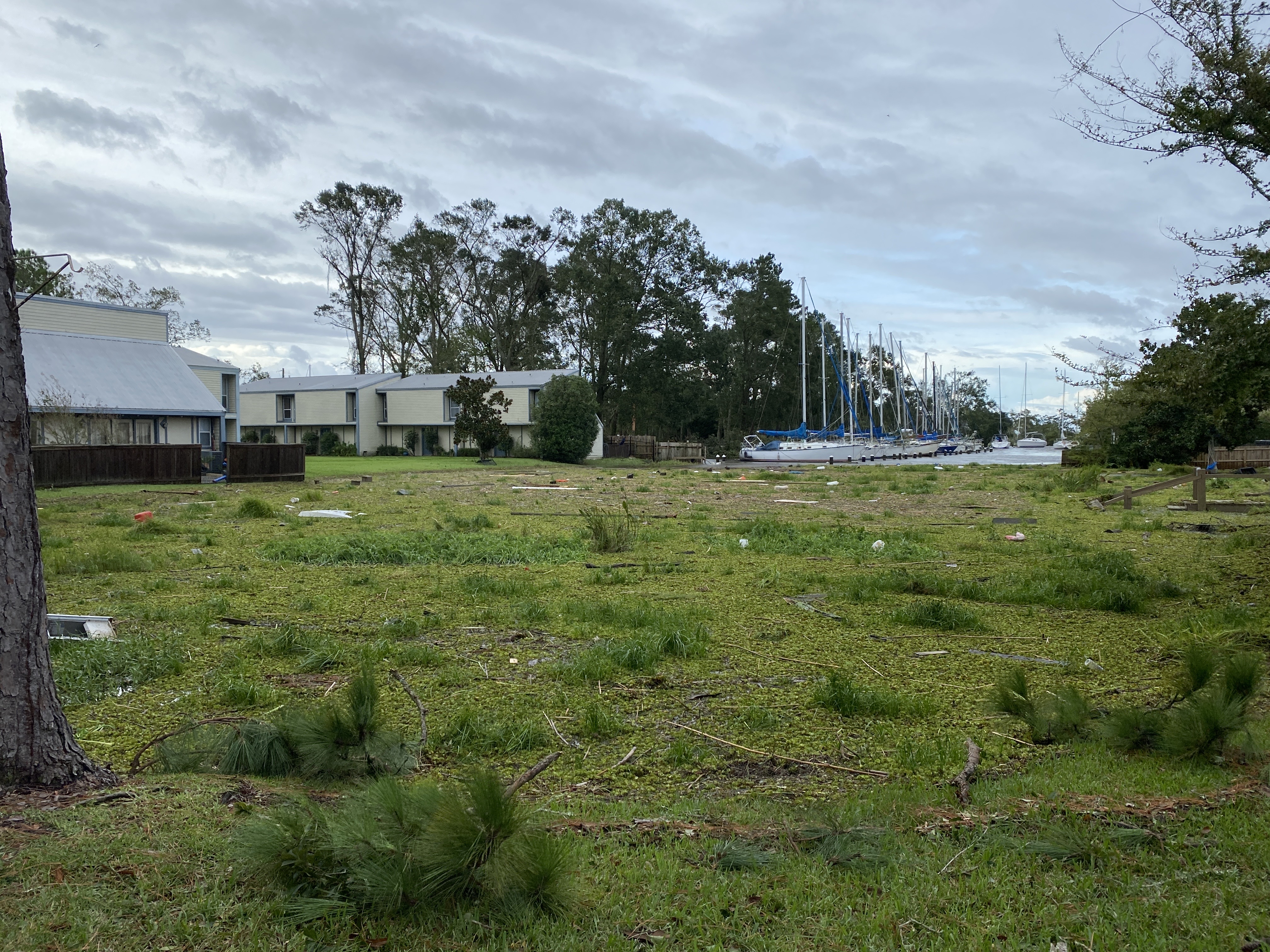 August 30th, 2021: Madison Street between Jackson Avenue and Atalin Street facing south toward Bayou Castine. Even almost 24 hours after Ida passed through, the water had only receded several inches, and leaves, limbs and debris of all kinds created a 'carpet' that obscured the bayou completely. (Mandeville Daily/William Kropog)