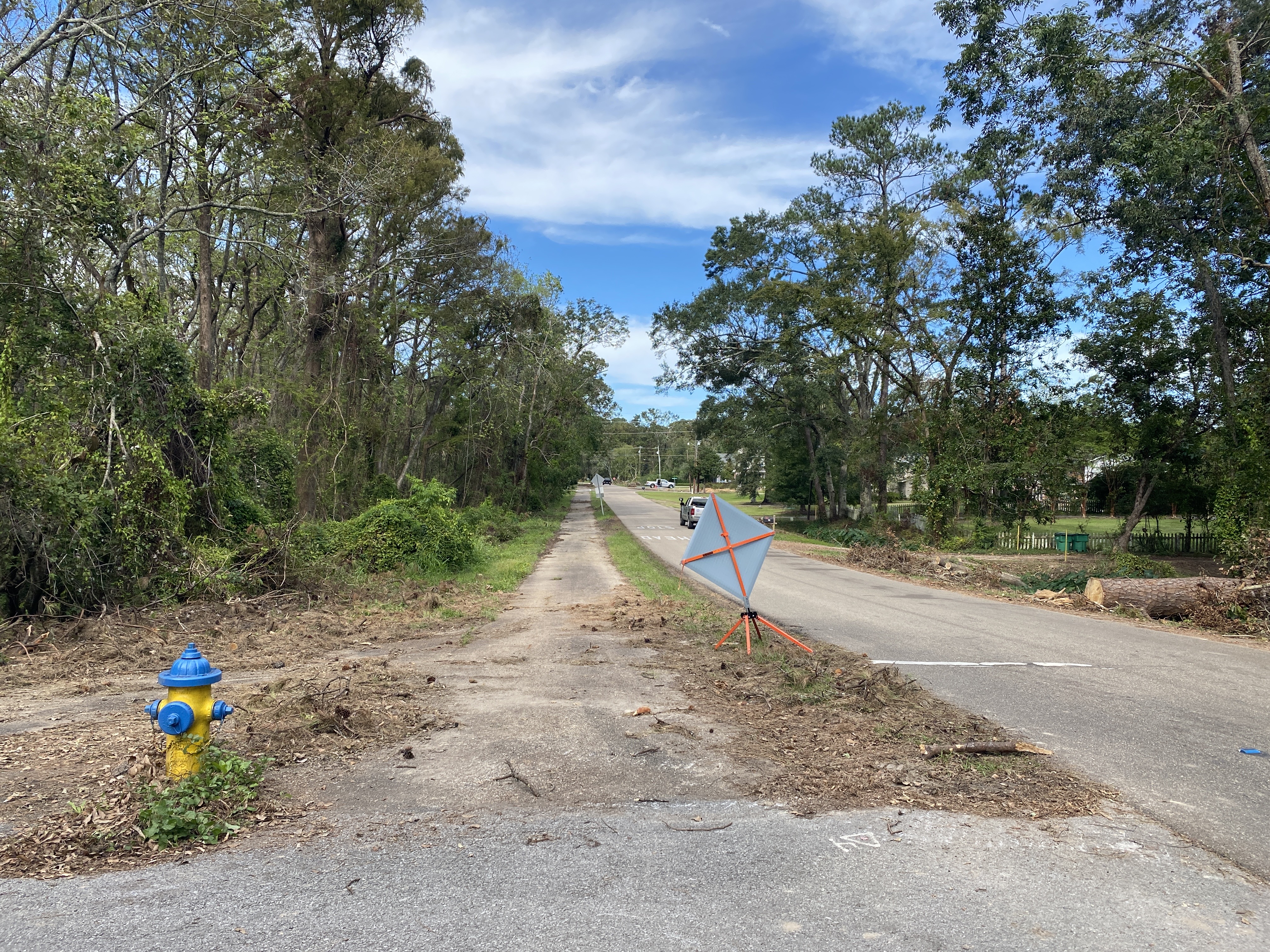 28 Days Later. (Mandeville Daily/William Kropog)