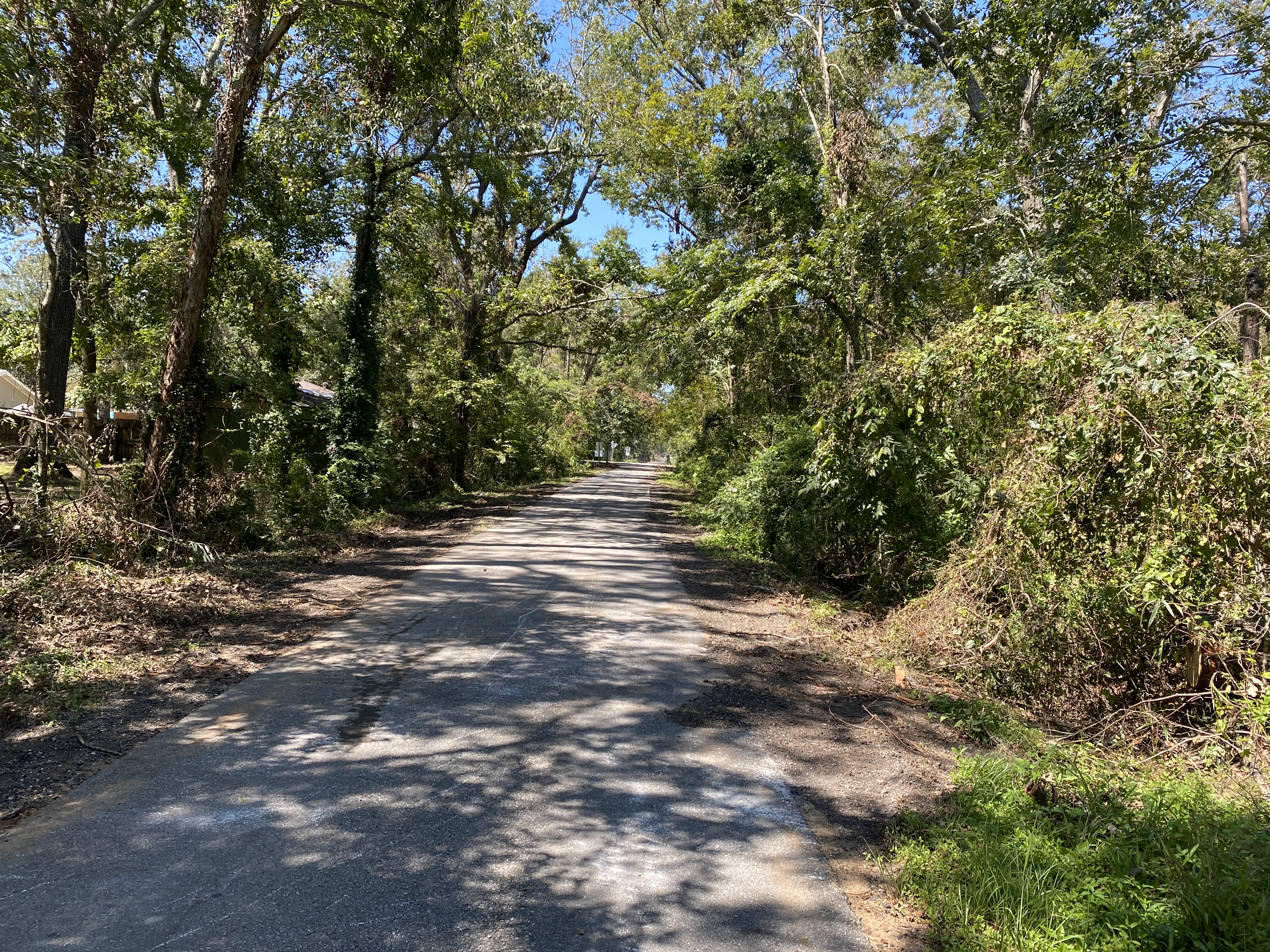 28 Days Later. (Mandeville Daily/William Kropog)