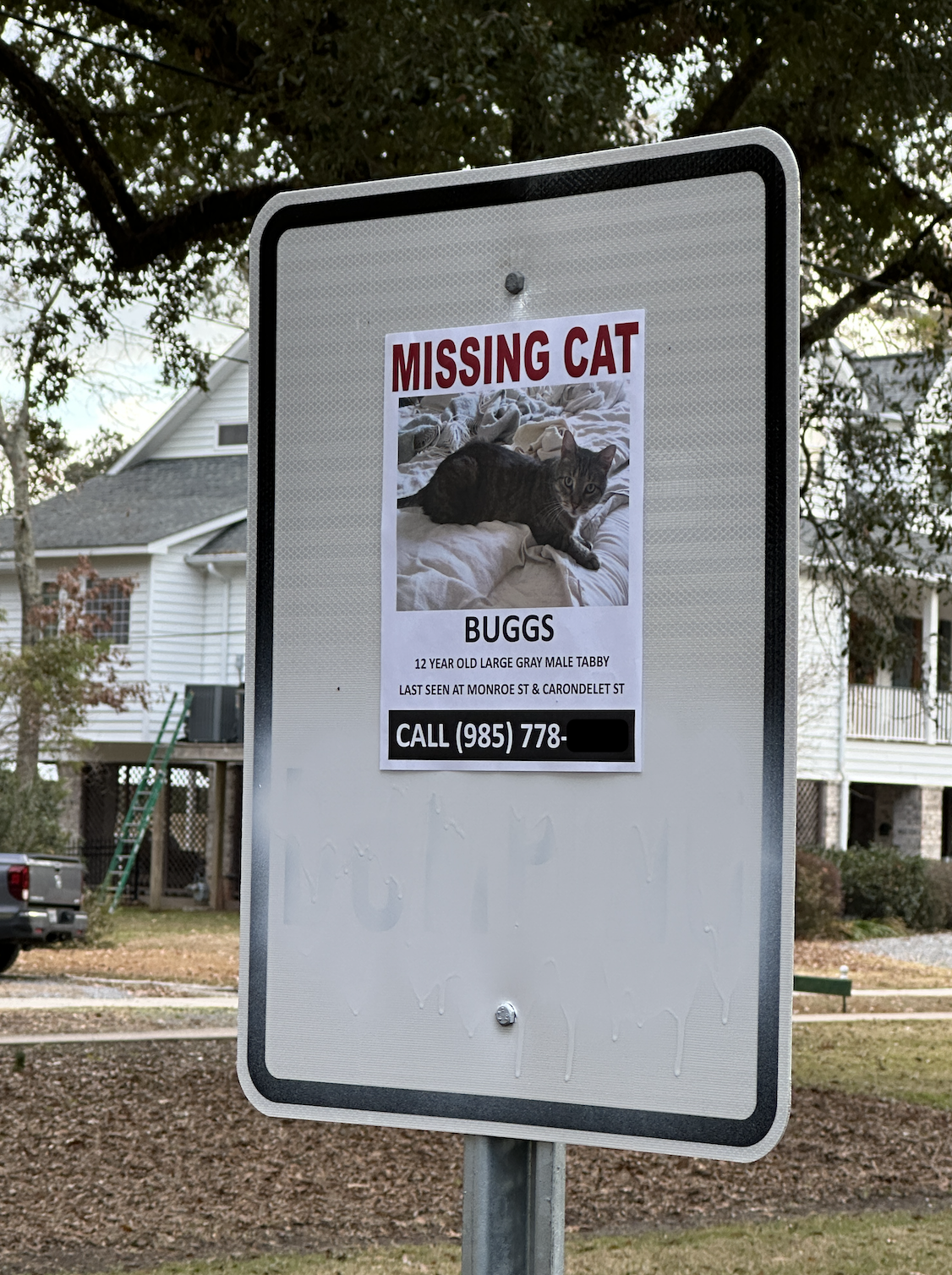 'NO DUMPING' signs on West Beach Parkway were first spray-painted to just say 'NO' but now they have been repurposed to help find a lost cat. (Mandeville Daily)