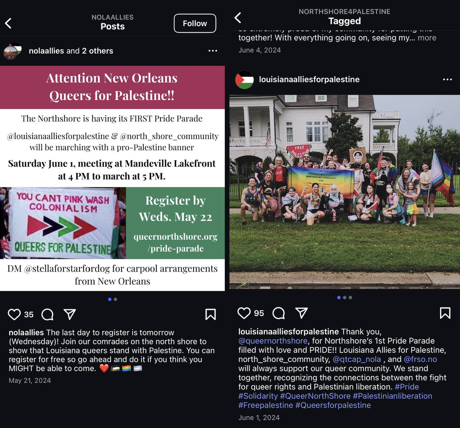 Instagram posts from various pro-Palestinian groups who mades posts and claimed to have marched in the 2024 'Queer Northshore Parade.' (Mandeville Daily)