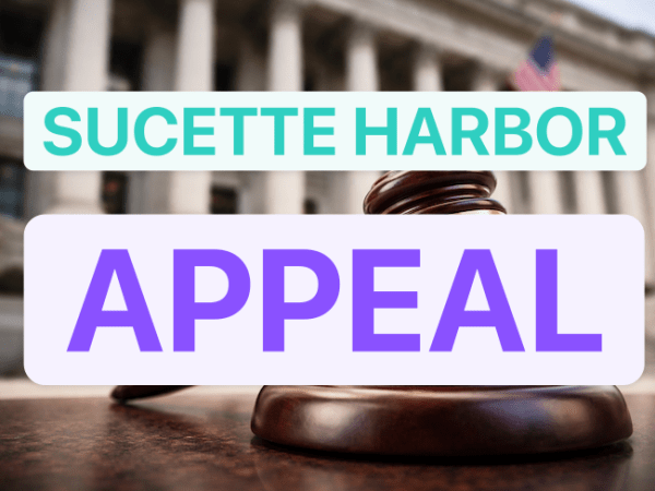 Developers appeal dismissal of Sucette Harbor&nbsp;lawsuit